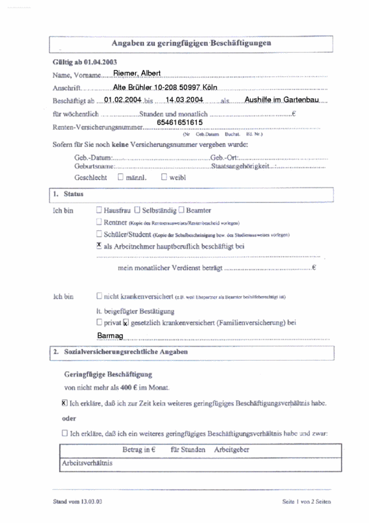 Angaben_zu_geringfuegigen_Beschaeftigungen.png